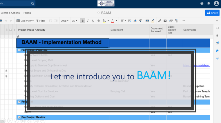 Let Me Introduce You to BAAM