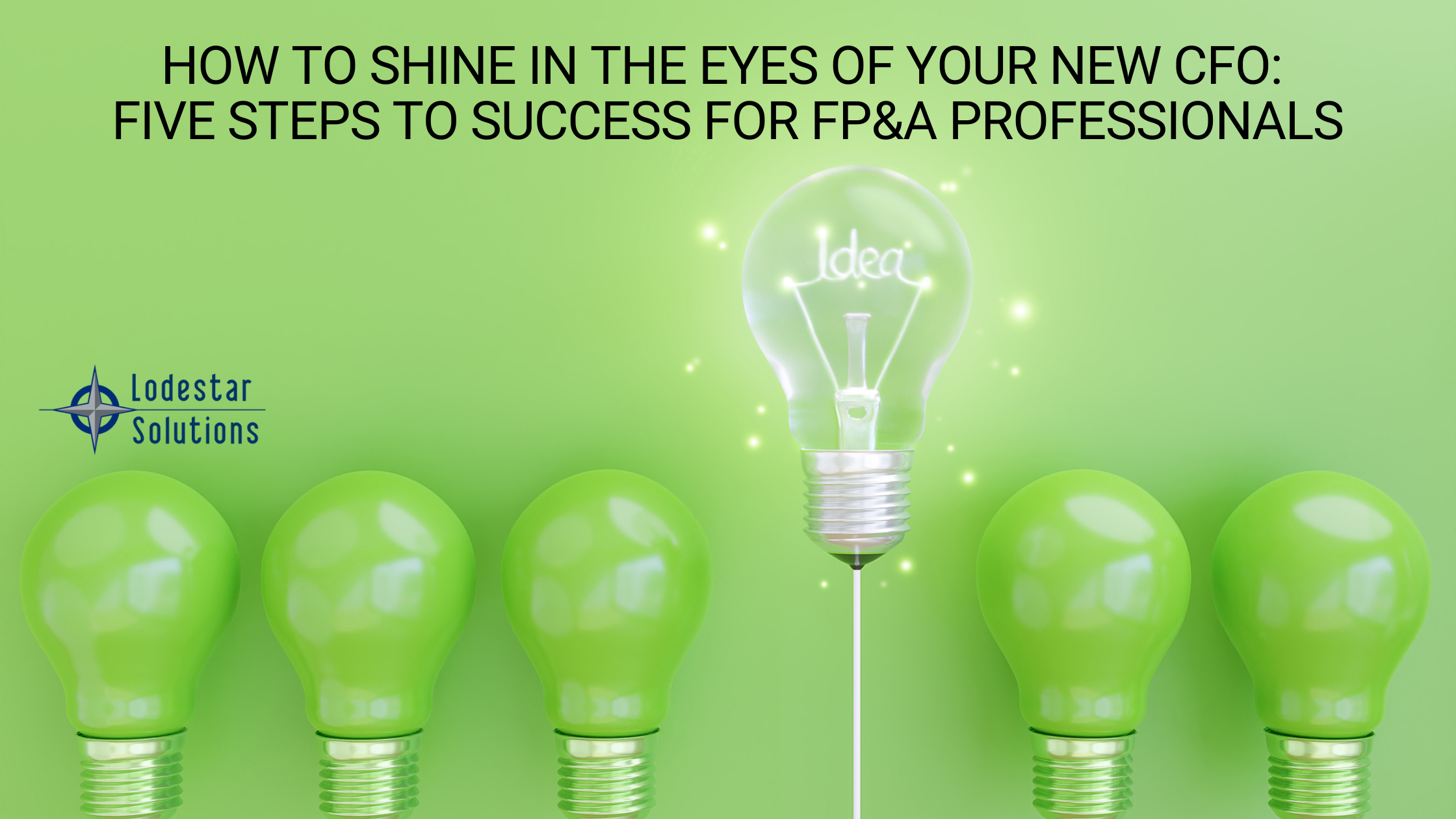 How to Shine in the Eyes of Your New CFO Five Steps to Success for FP&A Professionals How to Shine in the Eyes of Your New CFO Five Steps to Success for FP&A Professionals
